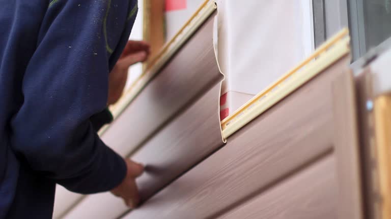 Best Hoarding Cleanup  in Village Of The Branch, NY
